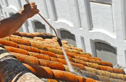 Nettoyage de toitures - Dasle